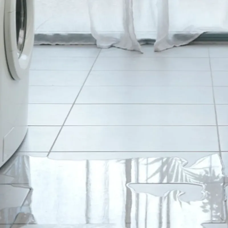 Appliance Leak Cleanup in Belle Glade, FL